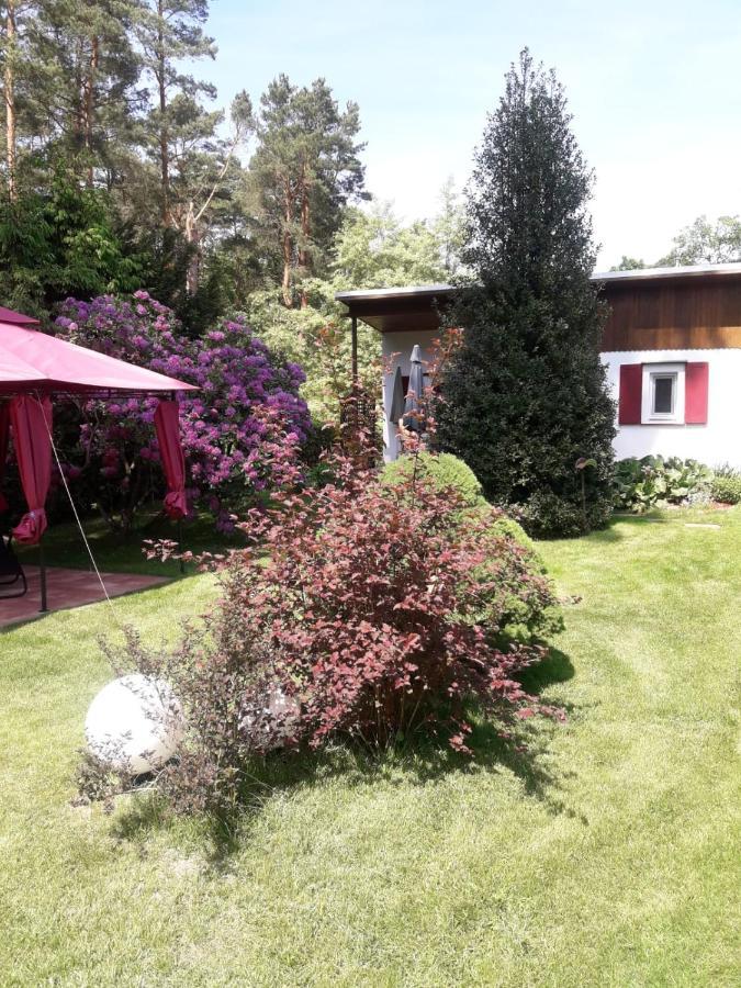 Heidesee Ferienhaus Am Langen See מראה חיצוני תמונה