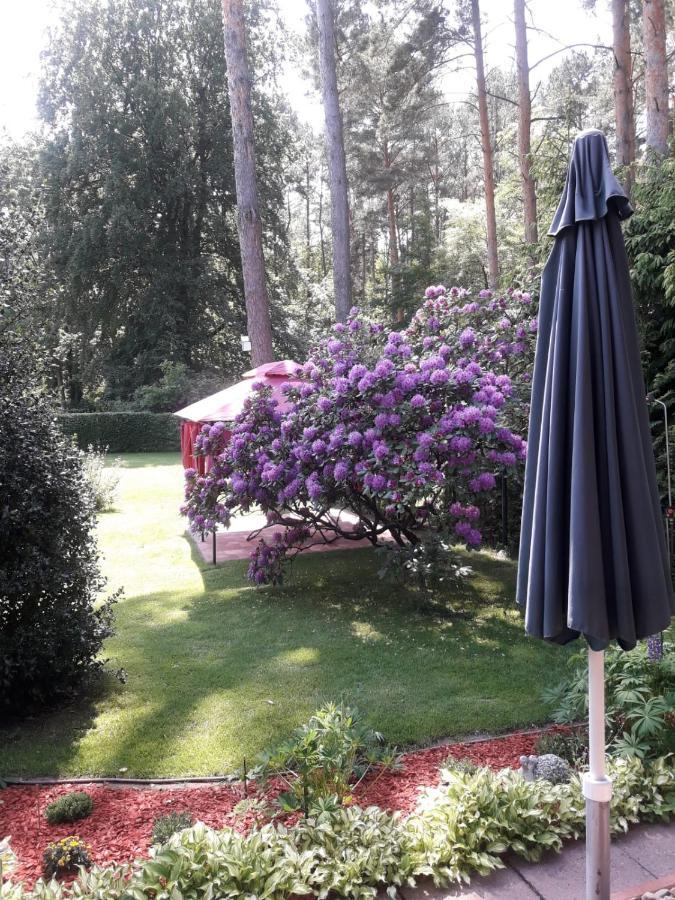 Heidesee Ferienhaus Am Langen See מראה חיצוני תמונה